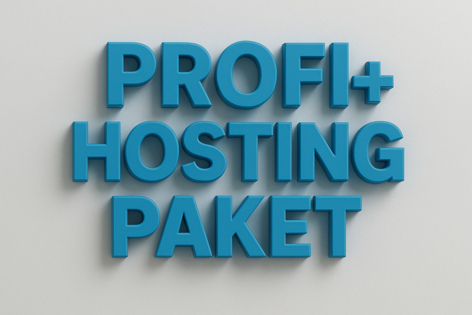 Profi+ hosting paket Profi+ hosting paket